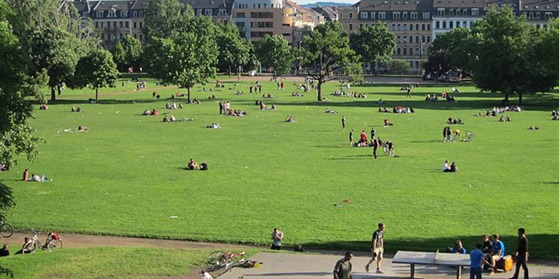 Foto vom Alaunpark Dresden